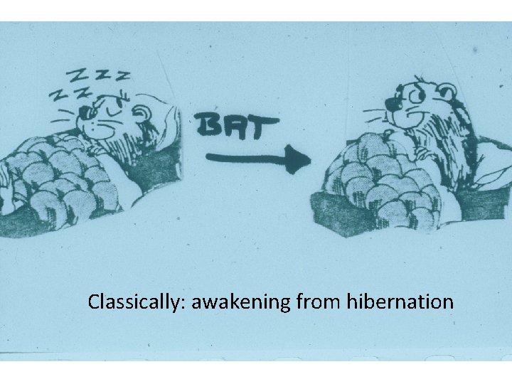 Classically: awakening from hibernation 