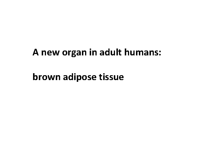 A new organ in adult humans: brown adipose tissue 