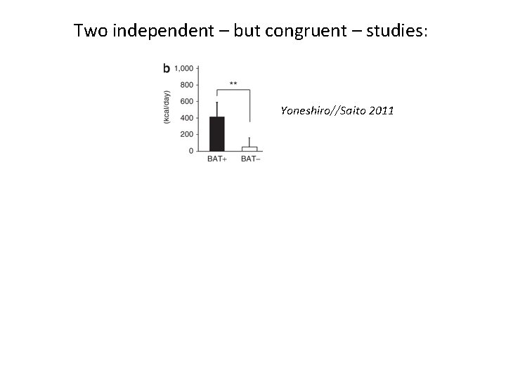 Two independent – but congruent – studies: Yoneshiro//Saito 2011 