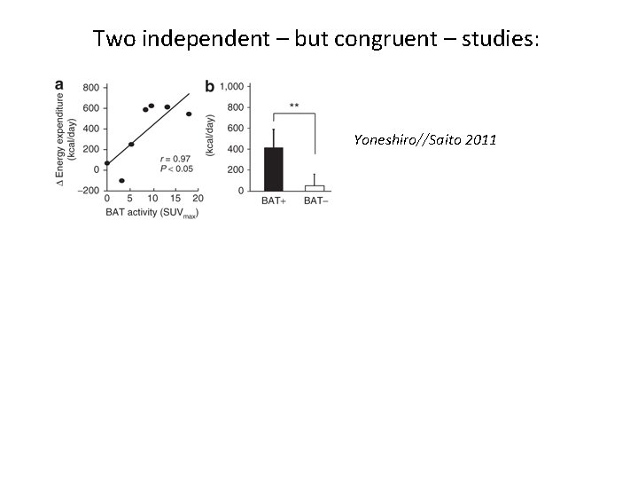 Two independent – but congruent – studies: Yoneshiro//Saito 2011 