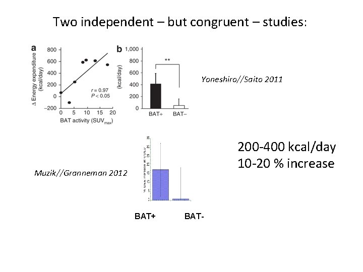 Two independent – but congruent – studies: Yoneshiro//Saito 2011 200 -400 kcal/day 10 -20