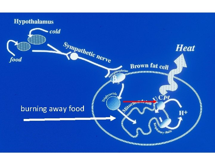 1 burning away food 