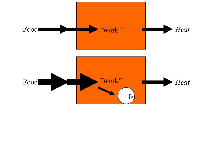 Food ”work” Heat fat 
