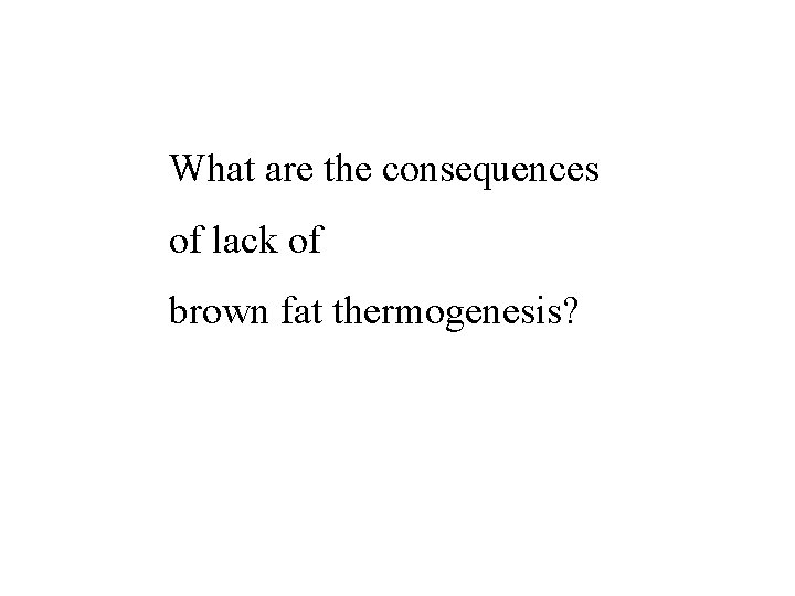 What are the consequences of lack of brown fat thermogenesis? 