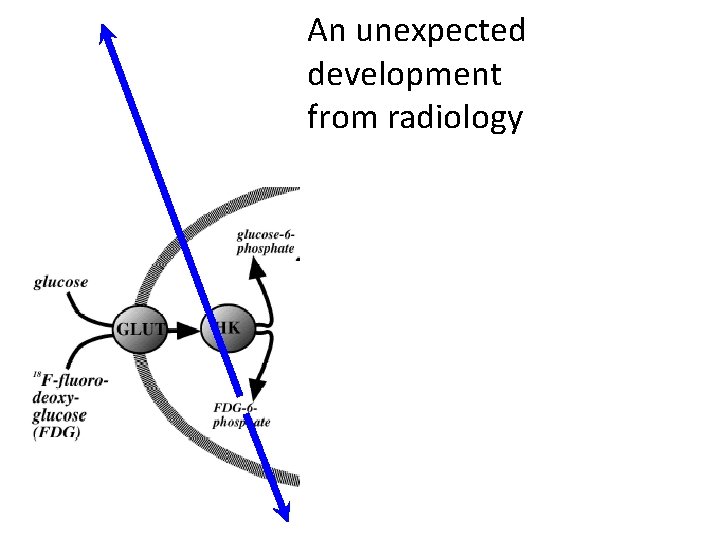 An unexpected development from radiology 