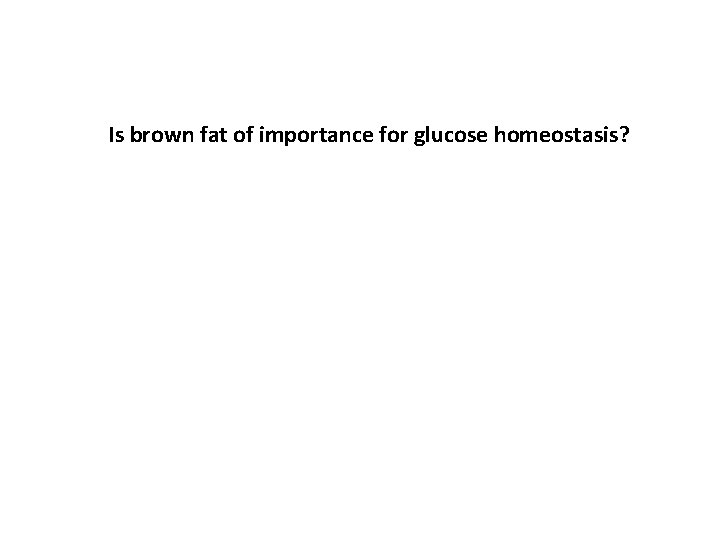 Is brown fat of importance for glucose homeostasis? 