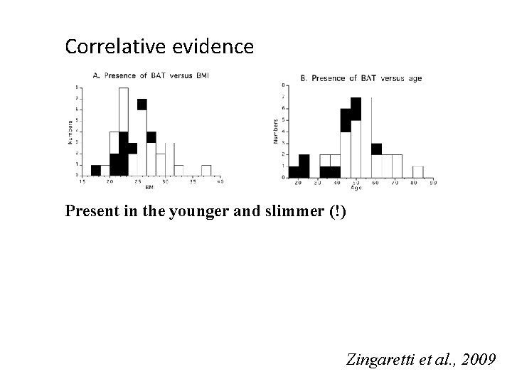 Correlative evidence Present in the younger and slimmer (!) Zingaretti et al. , 2009