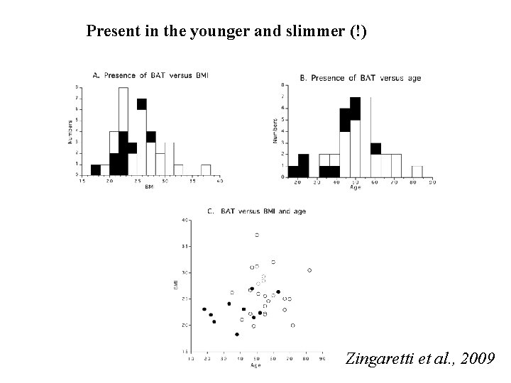 Present in the younger and slimmer (!) Zingaretti et al. , 2009 