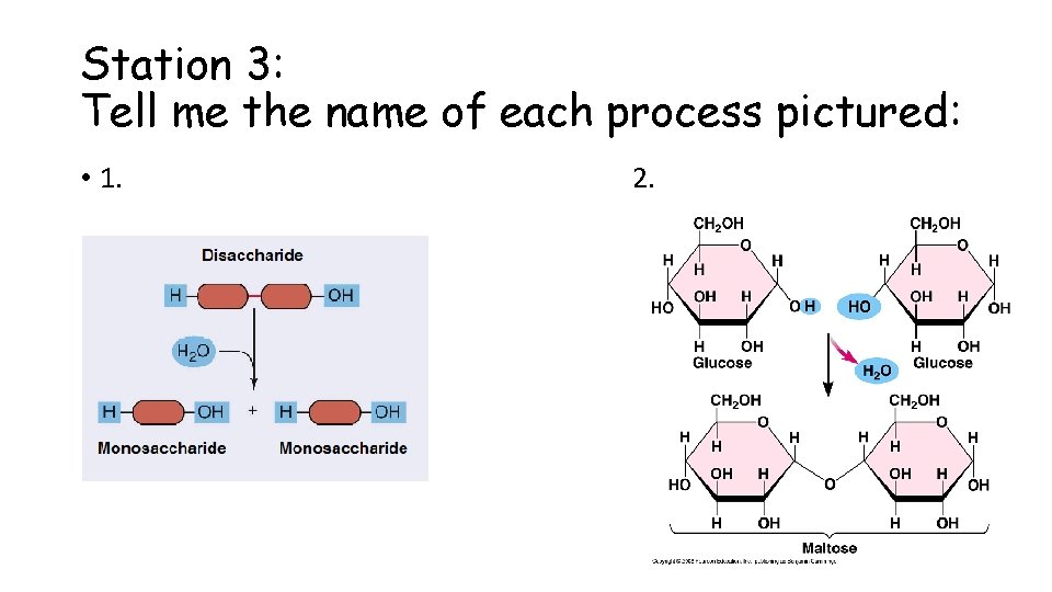 Station 3: Tell me the name of each process pictured: • 1. 2. 