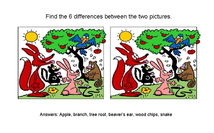 Find the 6 differences between the two pictures. Answers: Apple, branch, tree root, beaver’s