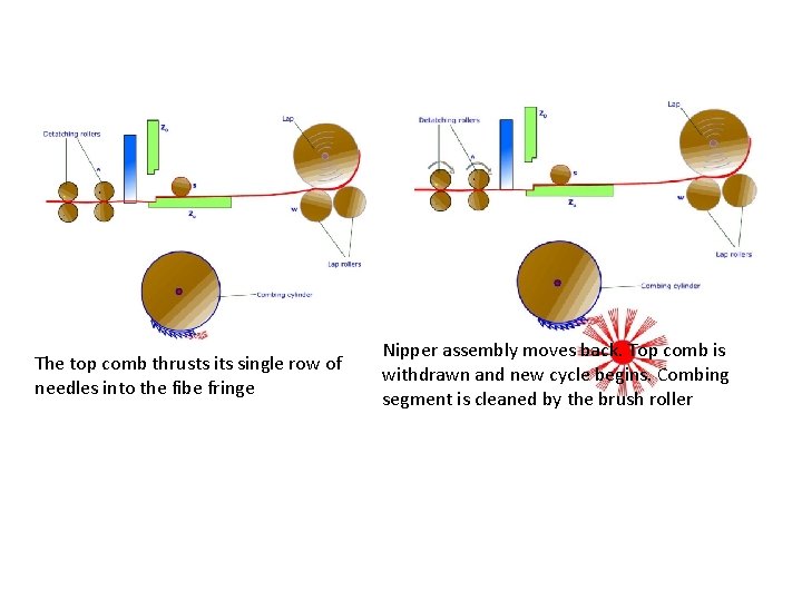 The top comb thrusts its single row of needles into the fibe fringe Nipper