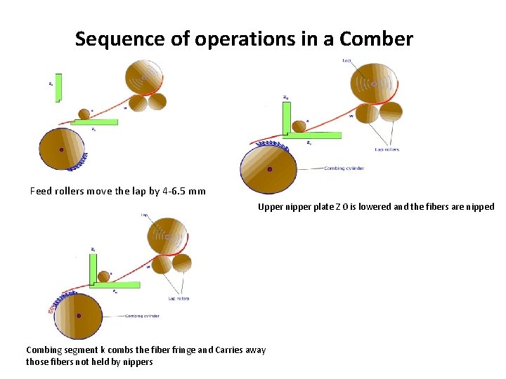 Sequence of operations in a Comber Feed rollers move the lap by 4 -6.