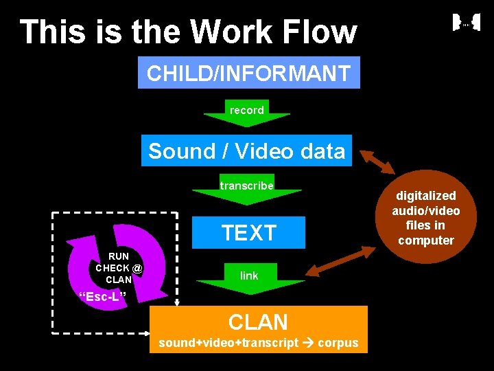 This is the Work Flow CHILD/INFORMANT record Sound / Video data transcribe TEXT RUN