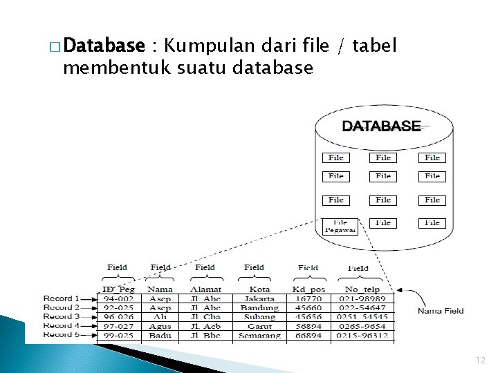 � Database : Kumpulan dari file / tabel membentuk suatu database 12 