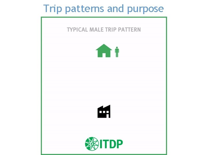 Trip patterns and purpose 