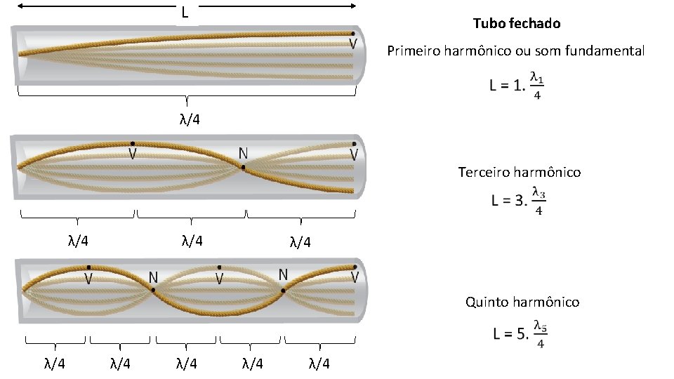 L Tubo fechado Primeiro harmônico ou som fundamental λ/4 Terceiro harmônico λ/4 λ/4 Quinto