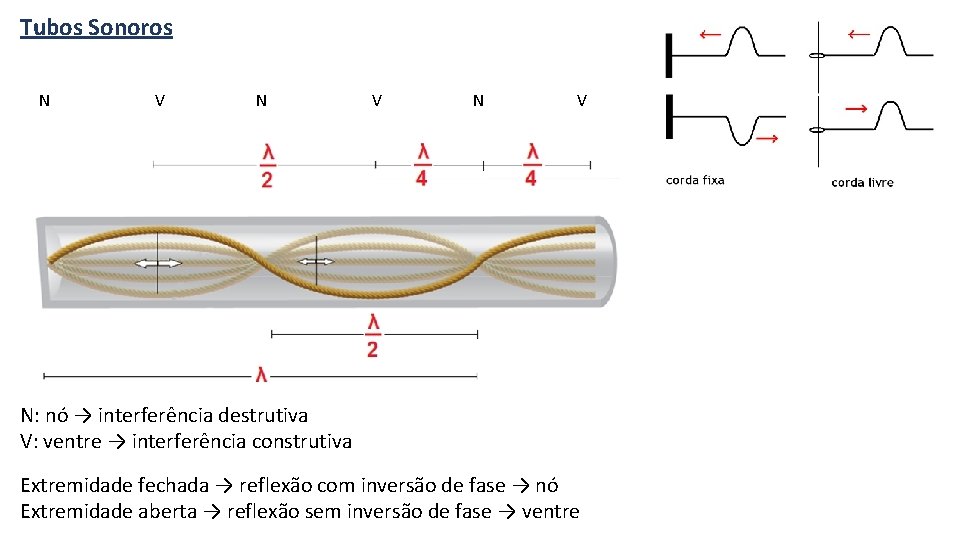 Tubos Sonoros N V N V N: nó → interferência destrutiva V: ventre →