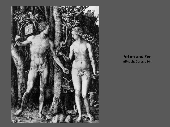 Adam and Eve Albrecht Durer, 1504 