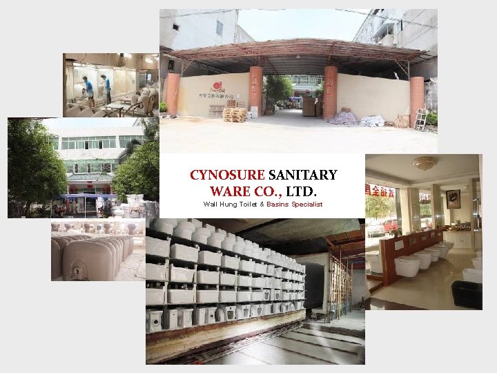 CYNOSURE SANITARY WARE CO. , LTD. Wall Hung Toilet & Basins Specialist 