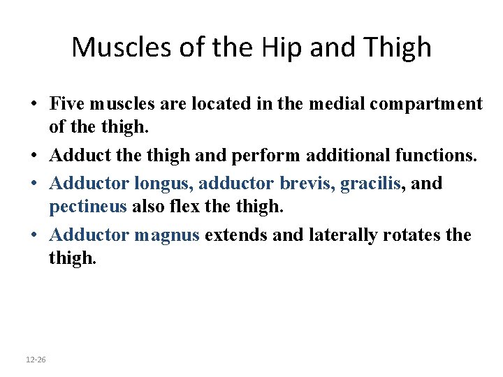 Muscles of the Hip and Thigh • Five muscles are located in the medial