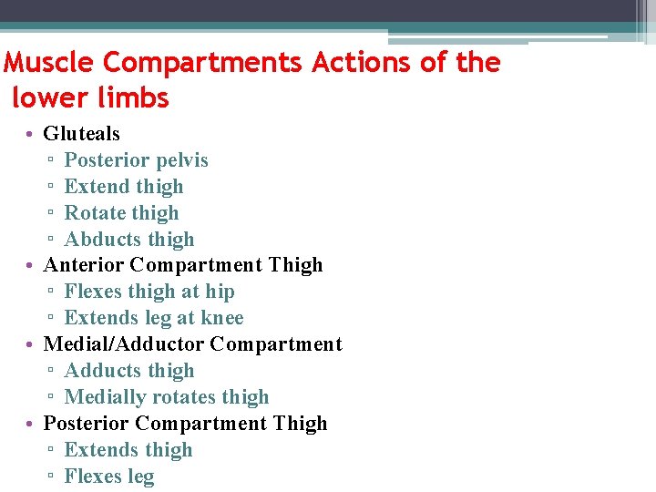 Muscle Compartments Actions of the lower limbs • Gluteals ▫ Posterior pelvis ▫ Extend