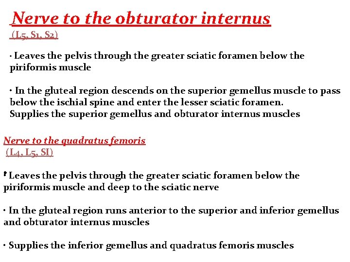 Nerve to the obturator internus (L 5, S 1, S 2) • Leaves the