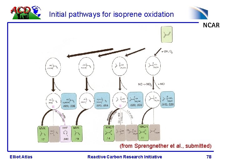 Initial pathways for isoprene oxidation (from Sprengnether et al. , submitted) Elliot Atlas Reactive