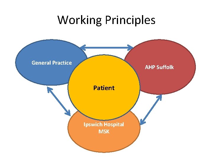 Working Principles General Practice AHP Suffolk Patient Ipswich Hospital MSK 