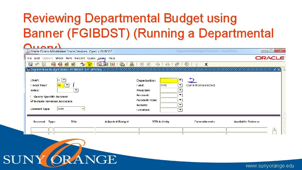Reviewing Departmental Budget using Banner (FGIBDST) (Running a Departmental Query) www. sunyorange. edu 