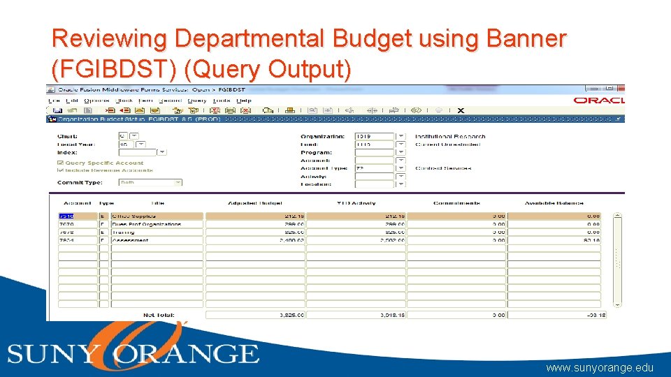 Reviewing Departmental Budget using Banner (FGIBDST) (Query Output) www. sunyorange. edu 
