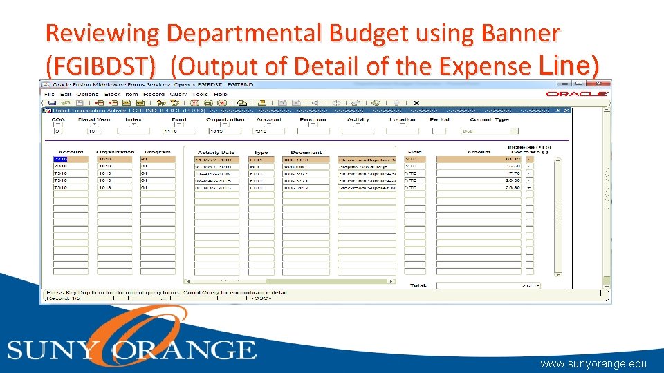 Reviewing Departmental Budget using Banner (FGIBDST) (Output of Detail of the Expense Line) www.