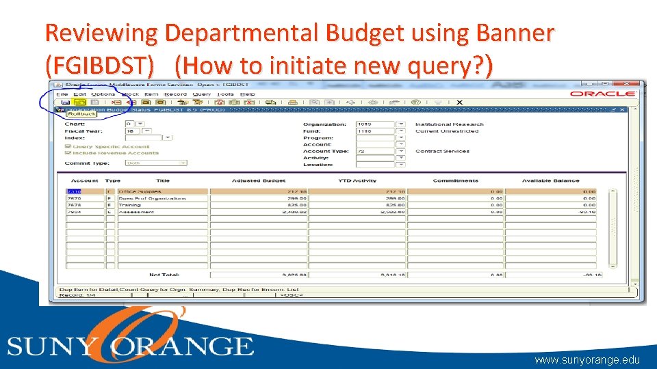 Reviewing Departmental Budget using Banner (FGIBDST) (How to initiate new query? ) www. sunyorange.