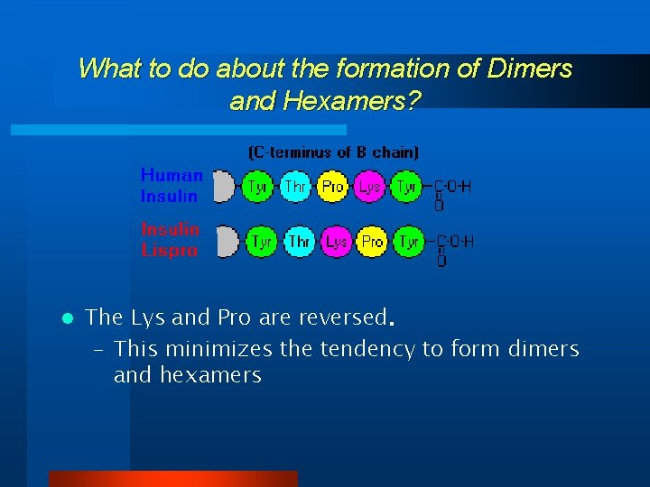What to do about the formation of Dimers and Hexamers? l The Lys and