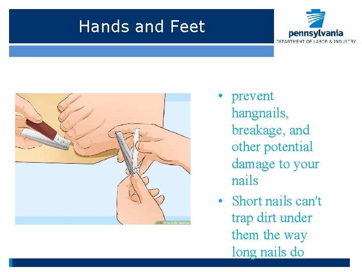 Hands and Feet • prevent hangnails, breakage, and other potential damage to your nails