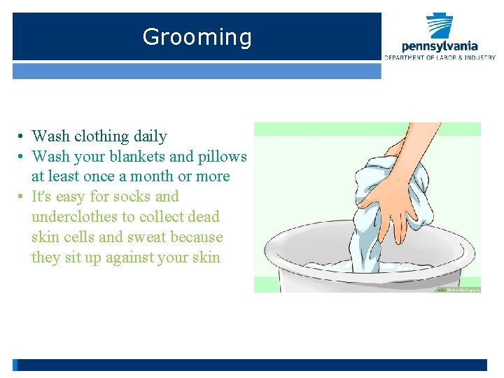 Grooming • Wash clothing daily • Wash your blankets and pillows at least once