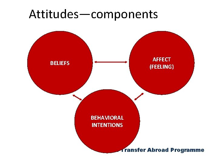 Attitudes―components AFFECT (FEELING) BELIEFS BEHAVIORAL INTENTIONS Haut Transfer Abroad Programme 