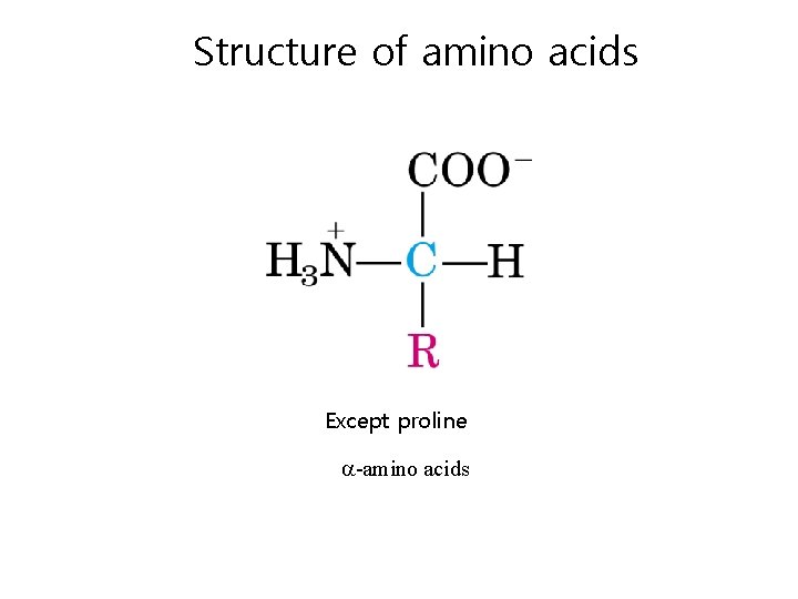 Structure of amino acids Except proline -amino acids 