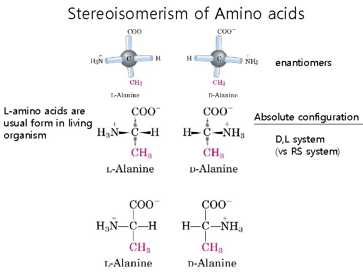 Stereoisomerism of Amino acids enantiomers L-amino acids are usual form in living organism Absolute