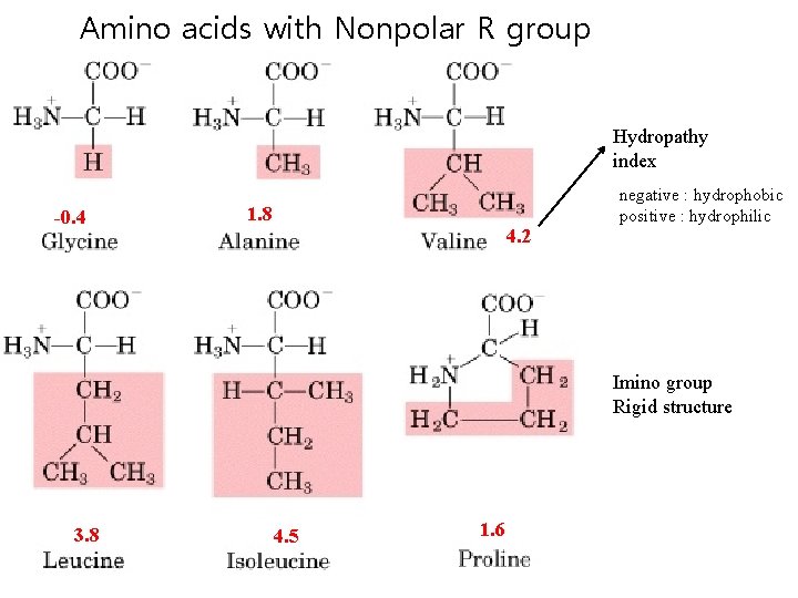 Amino acids with Nonpolar R group Hydropathy index -0. 4 1. 8 4. 2