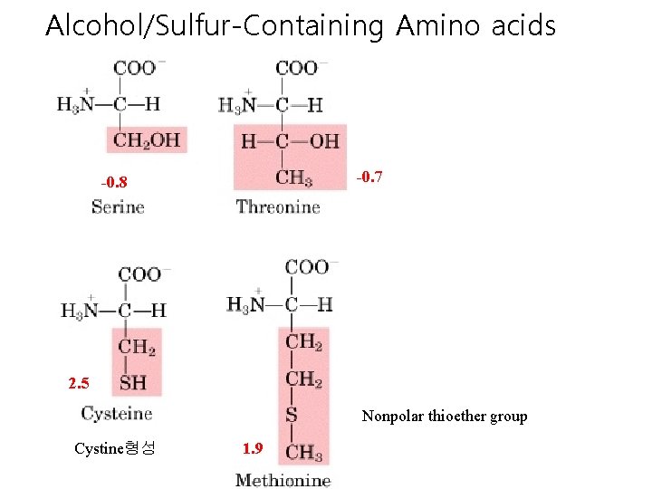 Alcohol/Sulfur-Containing Amino acids -0. 7 -0. 8 2. 5 Nonpolar thioether group Cystine형성 1.