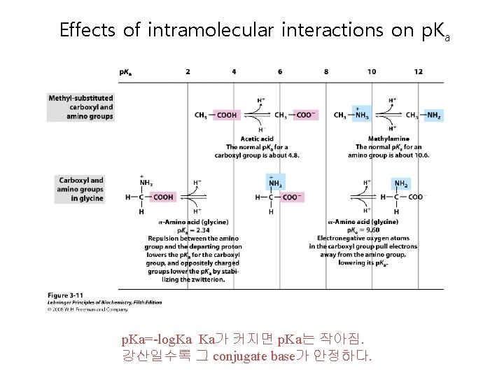 Effects of intramolecular interactions on p. Ka=-log. Ka Ka가 커지면 p. Ka는 작아짐. 강산일수록