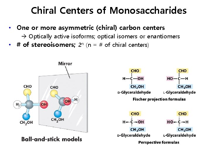Chiral Centers of Monosaccharides • One or more asymmetric (chiral) carbon centers Optically active