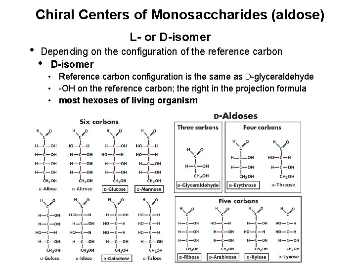 Chiral Centers of Monosaccharides (aldose) • L- or D-isomer Depending on the configuration of