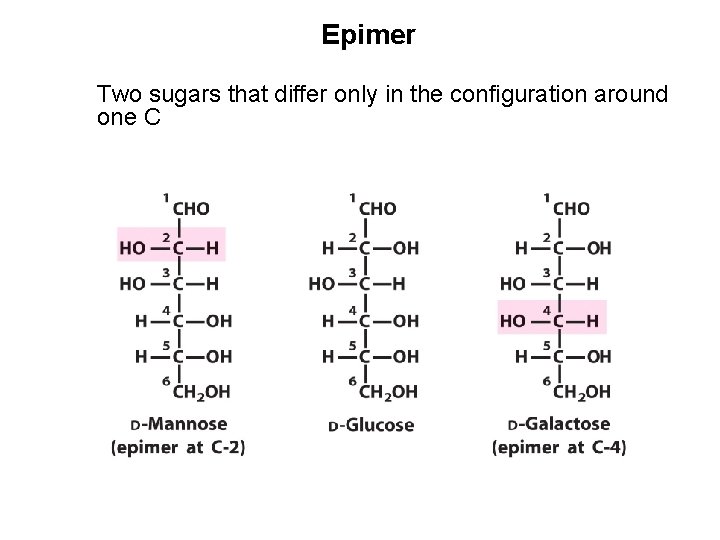 Epimer Two sugars that differ only in the configuration around one C 