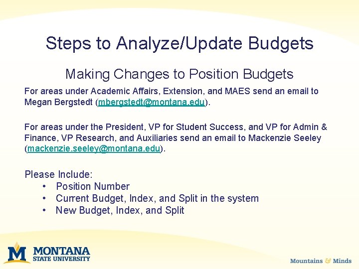 Steps to Analyze/Update Budgets Making Changes to Position Budgets For areas under Academic Affairs,