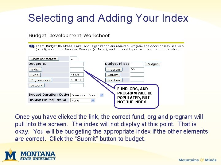 Selecting and Adding Your Index FUND, ORG, AND PROGRAM WILL BE POPULATED, BUT NOT
