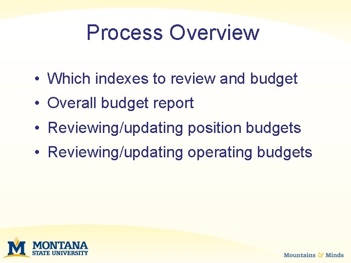 Process Overview • Which indexes to review and budget • Overall budget report •