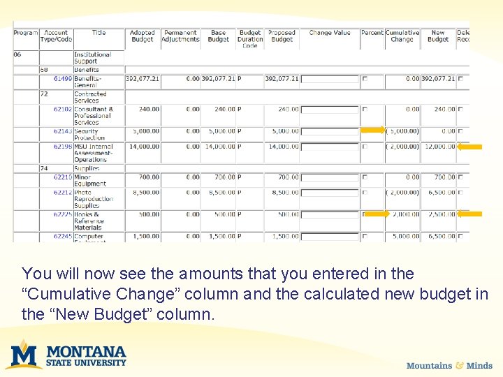 You will now see the amounts that you entered in the “Cumulative Change” column