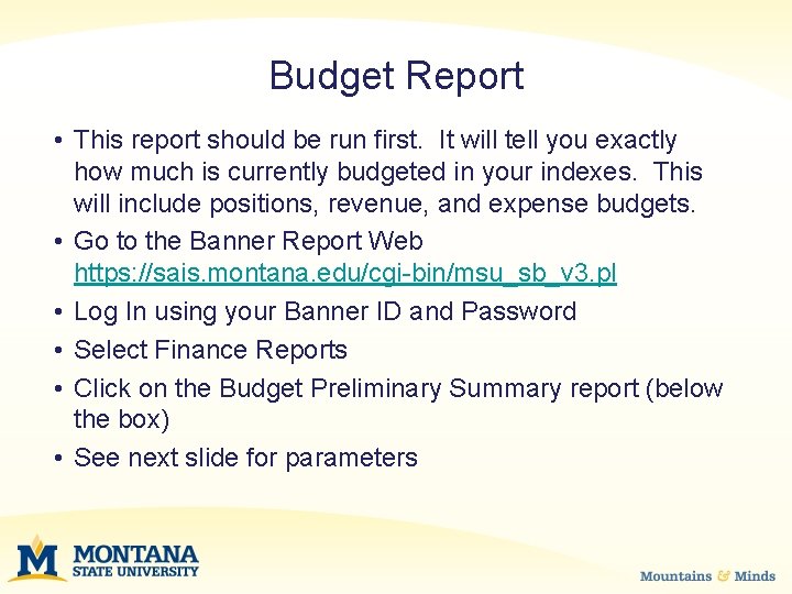 Budget Report • This report should be run first. It will tell you exactly