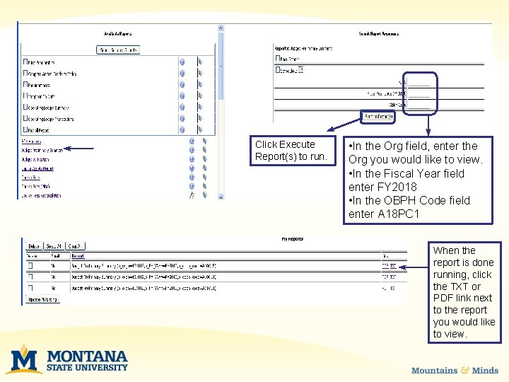 Click Execute Report(s) to run. • In the Org field, enter the Org you